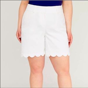 Lane Bryant Allie Short with Scalloped Hem Size 22